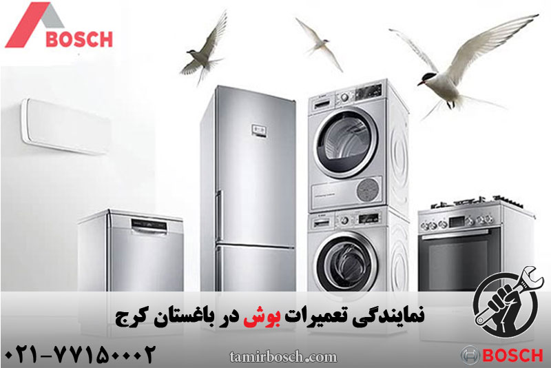 نمایندگی و خدمات بوش در باغستان کرج